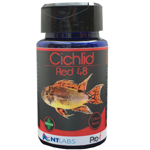 NT Labs Cichlid Red 48