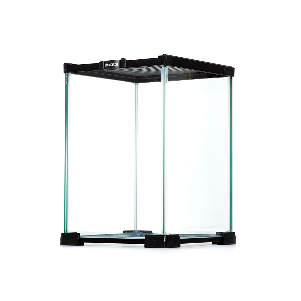 HabiStat Mini Glass Terrarium