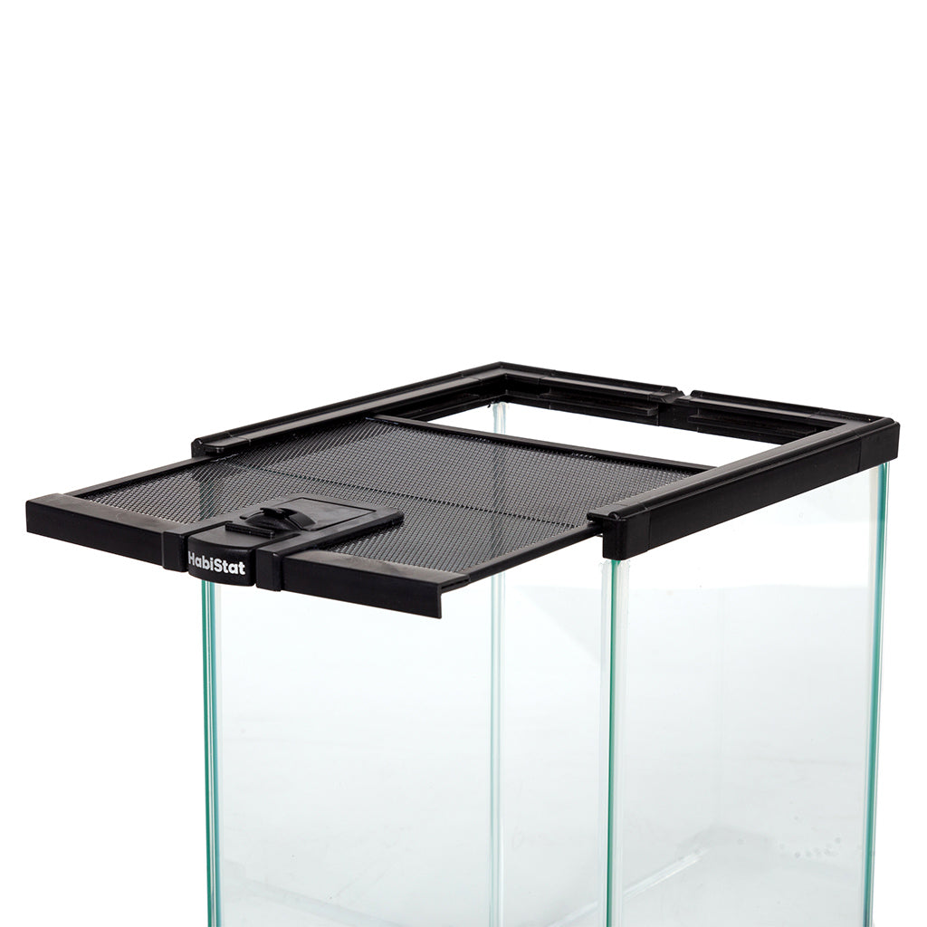 HabiStat Mini Glass Terrarium