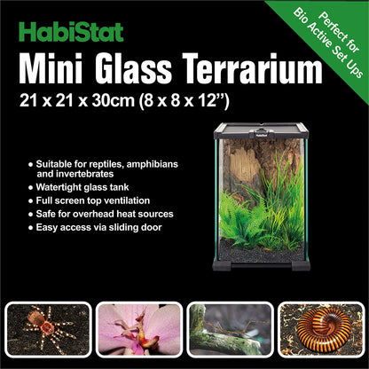 HabiStat Mini Glass Terrarium