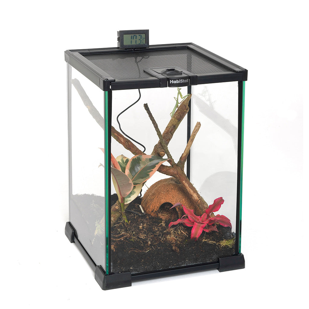 HabiStat Mini Glass Terrarium