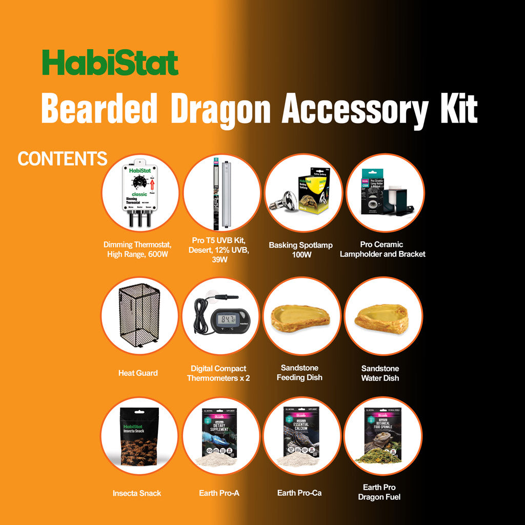 HabiStat Bearded Dragon Accessory Kit